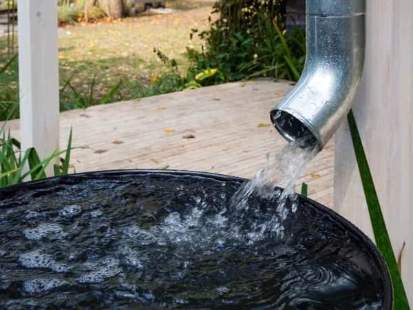 Czy warto robić zbiornik na deszczówkę? Oszczędności i korzyści ekologiczne